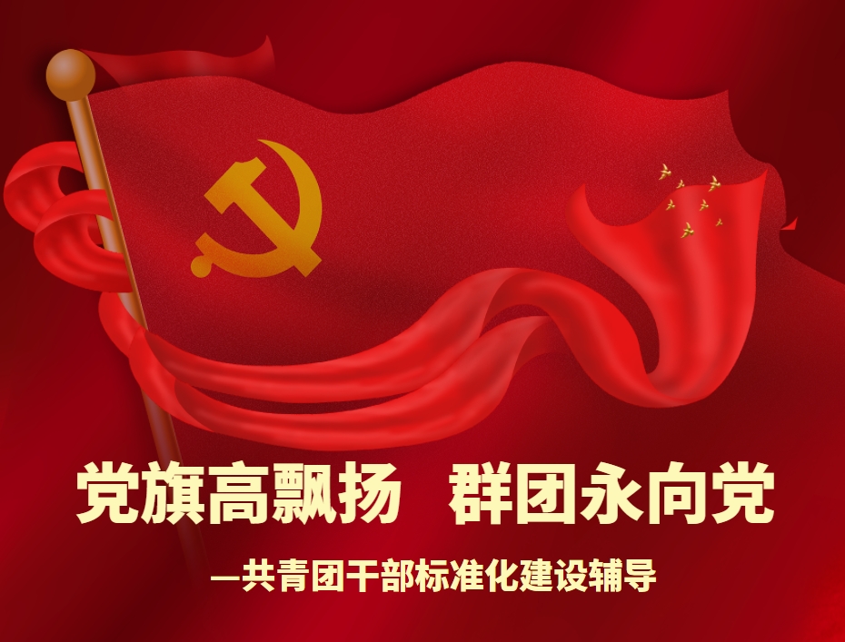 “黨旗高飄揚  群團(tuán)永向黨”——共青團(tuán)干部標(biāo)準(zhǔn)化建設(shè)輔導(dǎo)