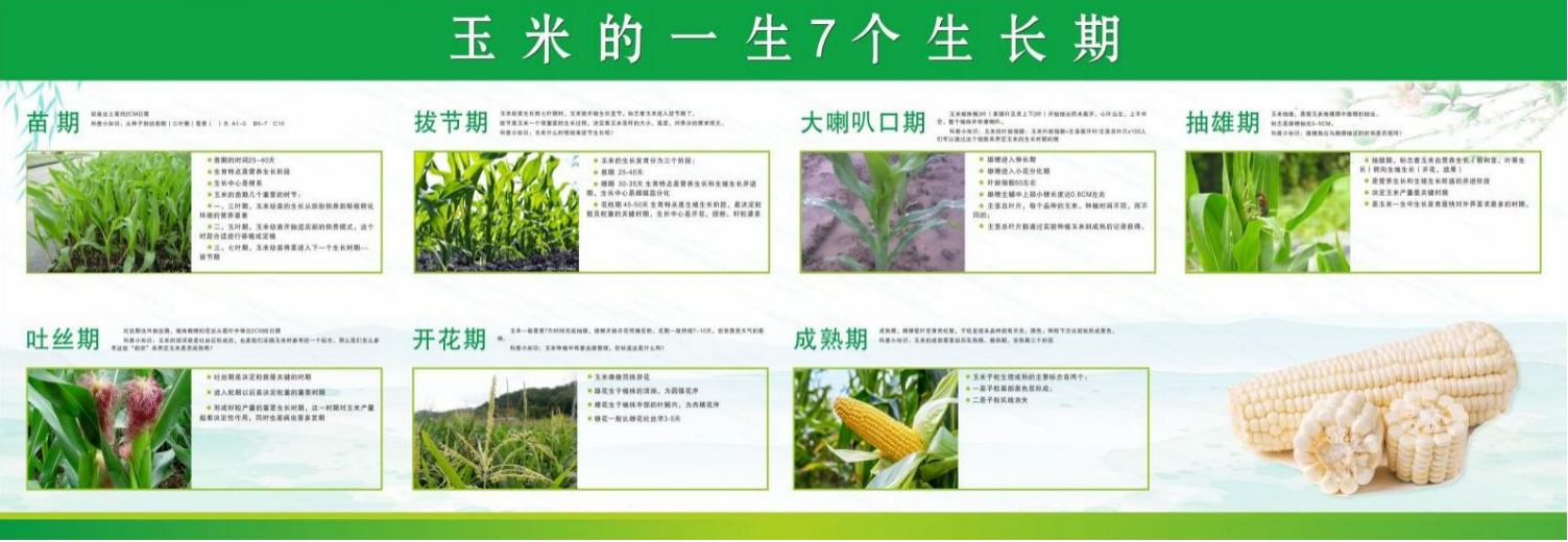 1746585489132464.png 圖片3.png